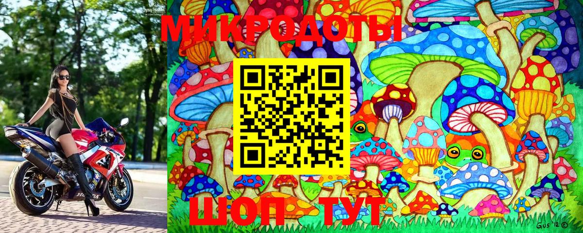 Лабинск  Псилоцибиновые грибы Magic Shrooms  Вход с VPN  продажа наркотиков  Псилоцибиновые грибы мицелий 